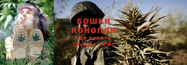 шишки Алексин